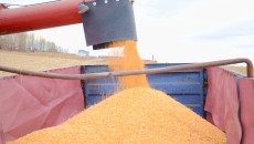 海博论坛·hibet(中国)官方网站