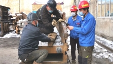 海博论坛·hibet(中国)官方网站