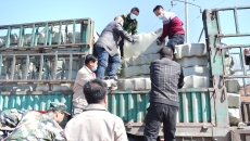 海博论坛·hibet(中国)官方网站