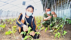 海博论坛·hibet(中国)官方网站