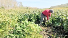 海博论坛·hibet(中国)官方网站