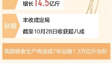 海博论坛·hibet(中国)官方网站