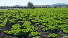 海博论坛·hibet(中国)官方网站