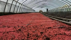 海博论坛·hibet(中国)官方网站