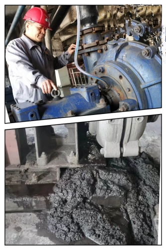 刘云霞1 微信图片_20221110143113