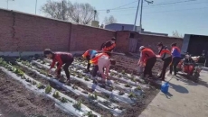 海博论坛·hibet(中国)官方网站