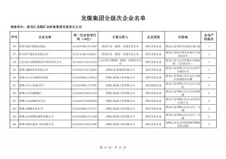 全级次企业名单 (13)