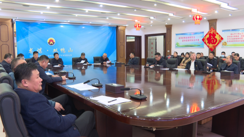 公司安全生产视频会议强调11.3