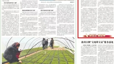 海博论坛·hibet(中国)官方网站