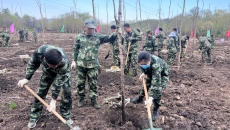 海博论坛·hibet(中国)官方网站