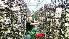 海博论坛·hibet(中国)官方网站