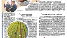 海博论坛·hibet(中国)官方网站