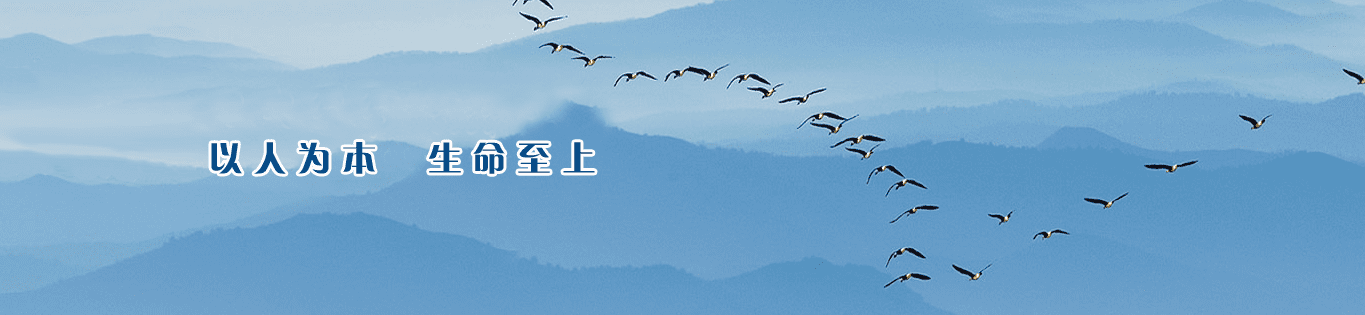 海博论坛·hibet(中国)官方网站