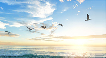 海博论坛·hibet(中国)官方网站